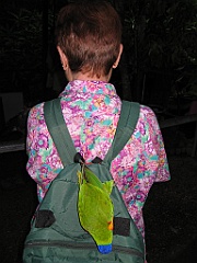 067 Cairns Tropical Zoo